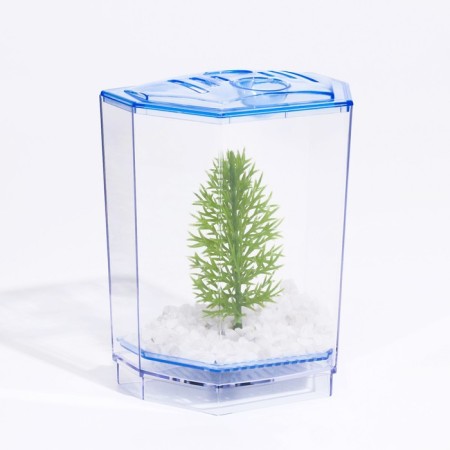 Aquarium desktop, with soil and plant