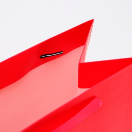 Laminated package "fuchsia", ml 23 × 27 × 11.5 cm-3