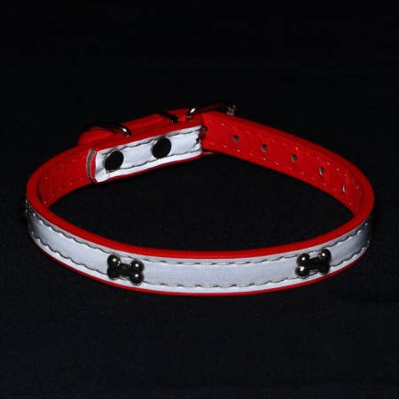 A collar with bones reflective, 37 x 1.3 cm, Osh 26-33, red-6