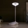 Sensory table lamp 16749/1 LED 2W 6000K USB AKB White 13x11x39 cm Risalux