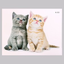 Stick 3D interior cats 29*21cm
