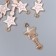 Decor for creativity Metal, enamel "Star rod" white-pink 2.8x1.3 cm