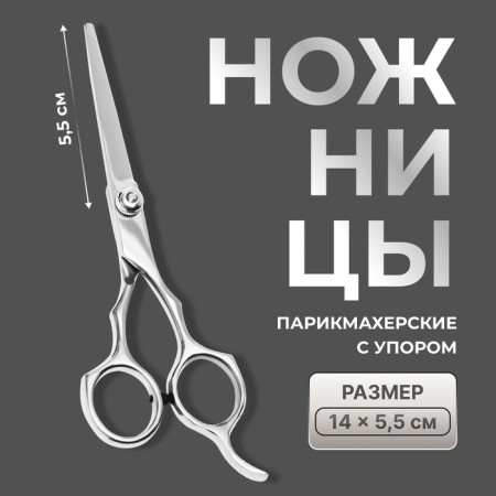 Hairdressers with emphasis, blade - 5.5 cm, silver color
