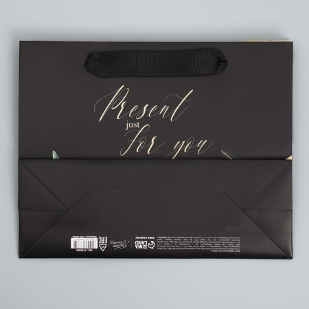 Gift Laminated Horizontal Package, Packaging, Present Just for You, 22 x 17.5 x 8 cm-6