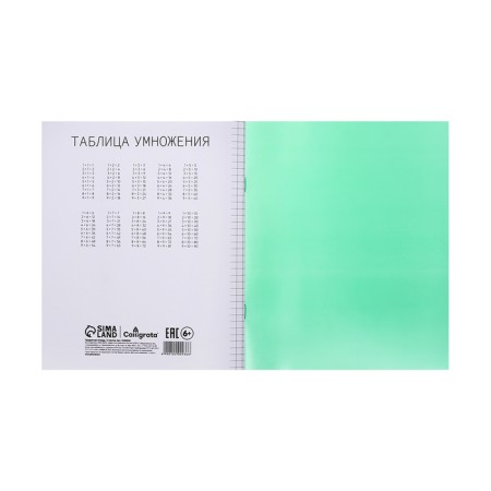Notebook of 12 sheets in Calligrata "Green", plastic cover, with a multiplication table, OFSET block-4