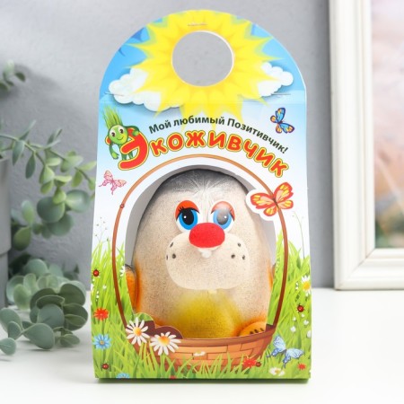 Growing gift Eco -Zhizhivchik "Mole Novice" mix-1