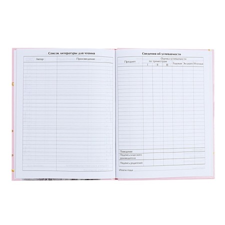 Universal diary for grades 1-11, Kisa, solid cover 7BC, glossy lamination, 40 sheets-8