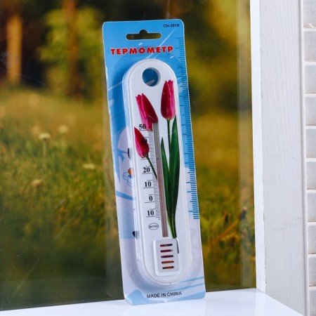 Plastic thermometer of the indoor "flower" in the blist (-10 +50), mix-1