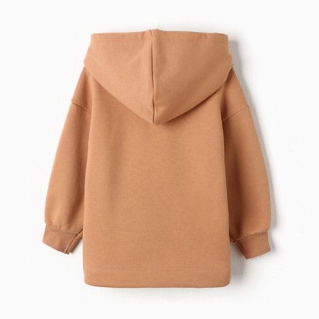 Sweatshirt for girls, sandy color, height 104 cm-6