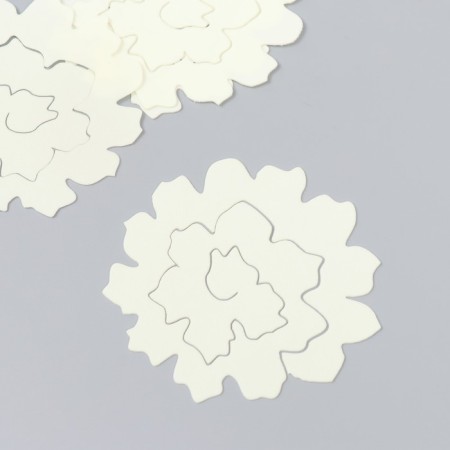 The workpiece of Foamiran "Flower Curly" 10x9.5 cm set 5 pcs. Ribbed champagne-2