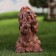 Garden figure "Dog on the hind legs" beige, 25x15x14cm