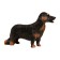 Figure "On the farm: long -haired dachshund"