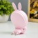 Nightmare "Bunny" LED 1W Pink 7x4x12 cm Risalux