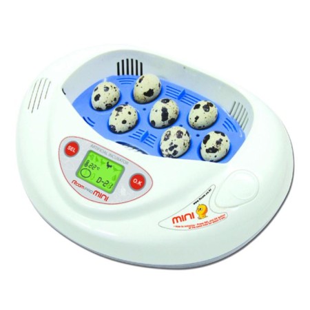 Incubator, 3 eggs, automatic coup, 220 V, rcom mini-2