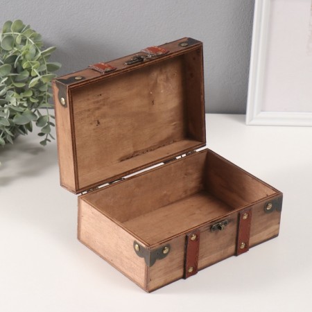 Casket tree "Old suitcase" 13.5x21x9.5 cm-3
