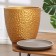 Flower pot "Mangle gold bud No. 7", 13 l