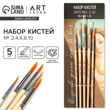 Drawing brush set of 5 pcs. Synthetics Round “Art must be in everything” No. 2, 4, 6, 8, 10
