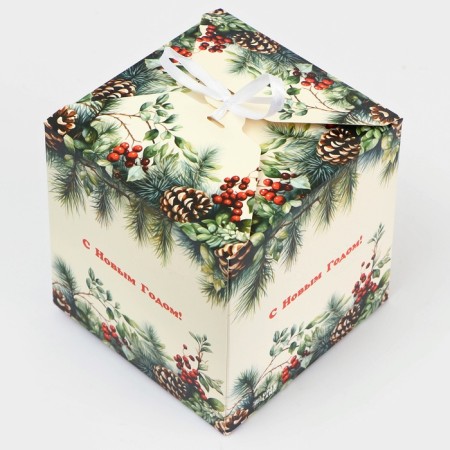 New Year. The box is folding, a gift New Year's "spruce branch" 14 x 14 x 14 cm.-3