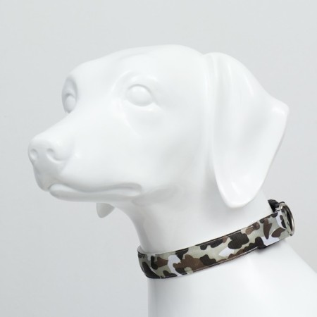 Collar with Militari's backlight 3 glow modes Size l, Osh 48-60 x 2.5 cm gray gray-2