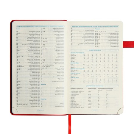 Diary of a low -up A5, 136 Premier sheets, solid cover, artificial leather, lies, magnetic refuge, beige block 70 g/m2, red-8