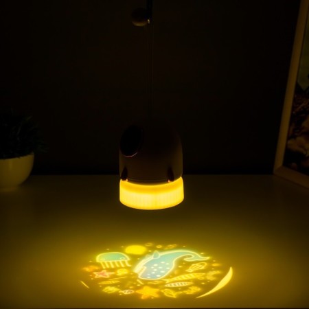 Night Projector "Rocket" LED 3W USB AKB White 9.5x9.5x11 cm Risalux-6