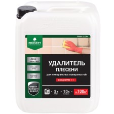Mold remoter Prosept Fungi Clean, concentrate 1: 1, 5 liters