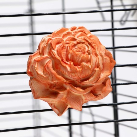 Mineral stone "Pigger" for birds, peony, 45 g-3