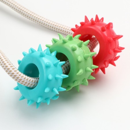 Dog toy "Rings with spikes on a suction cup", 40 cm, green/blue/red-4