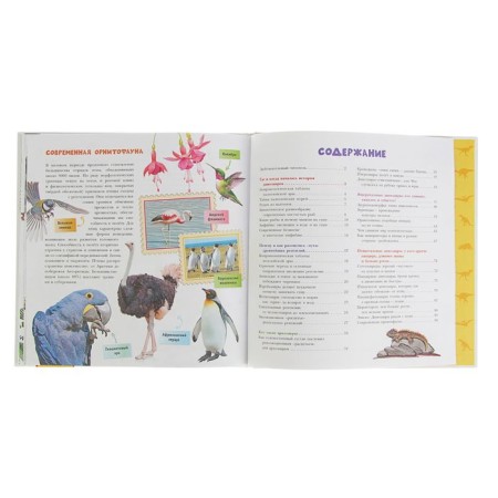 Children's Encyclopedia "Dinosaurs". Tikhonov A.V.-5