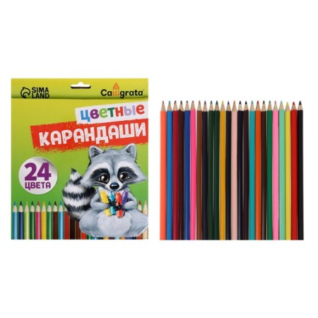 Pencils 24 colors, hexagonal, in a cardboard box