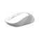Mouse A4Tech FSTYLER FG10 White/Gray Optical (2000DPI) Wireless USB (3but)