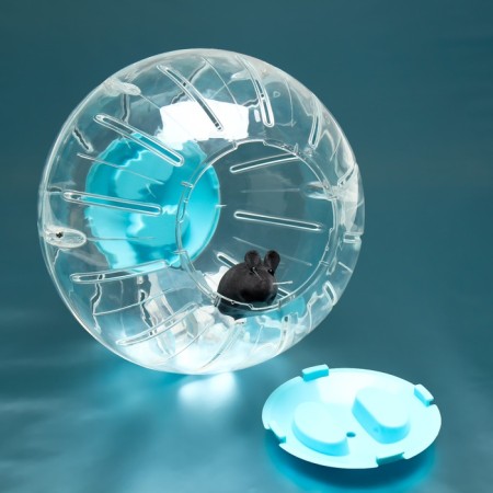 Ball for rodents Carno, 18.5 cm, blue-2