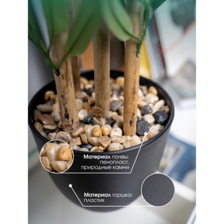 Bamboo in a plastic pot, 135 × 135 × 920 mm, green / black / beige color-2