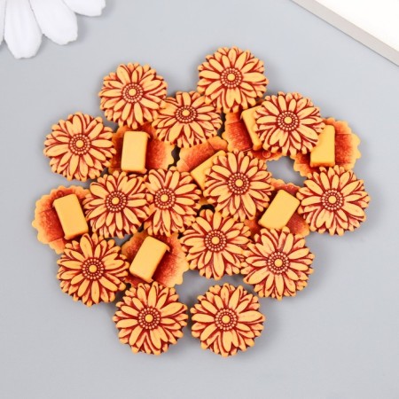 Beads for creativity plastic "Ethno. Astra" set of 20 g 1.9x1.9x0.7 cm