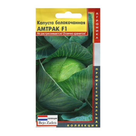 White cabbage seeds "amtrak", F1, 10 pcs.