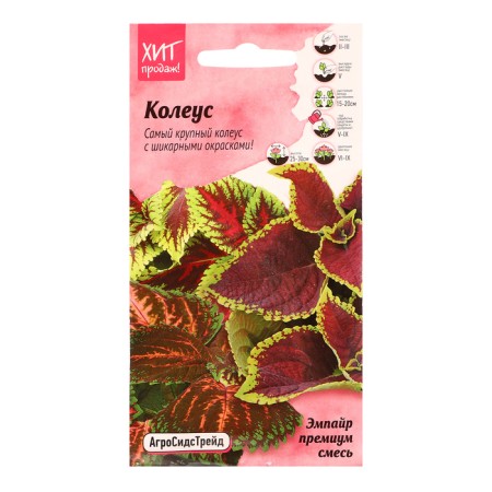 Flower seeds Koleus "Kong Empire Premium mixture", 10 pcs