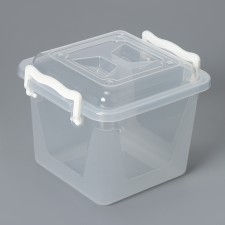 Container for storage with a lid, 4 l, 19.5 × 19.5 × 17.5 cm, transparent