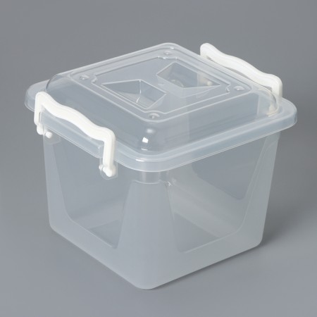 Container for storage with a lid, 4 l, 19.5 × 19.5 × 17.5 cm, transparent