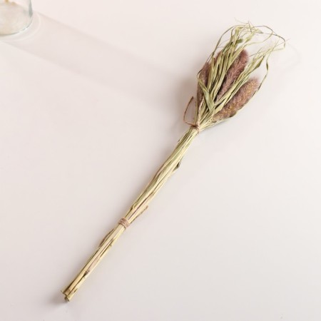 Set of dry flowers "Setaria", banch 7 pcs, length 60-65 (+/- 6 cm), natural-3