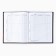 School diary for grade 1-11, in a solid cover, 40 l. "Dinosaur"
