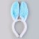 Children's rim "Bunny"