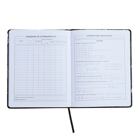 Universal Diary Grade 1-11, 48 sheets "Buntar spirit", a solid cover of artificial leather, lies, universal cheat sheet, block 80 g/m2-7