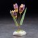 Souvenir "Crocus flowers", 5 flowers, selenite
