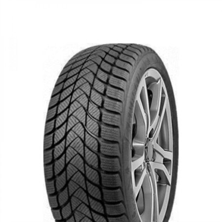 Winter NesyPlain Winter Landsail Winter Lander 155/65 R14 75T