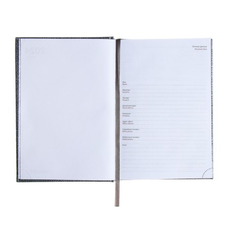 Dated diary 2024 A5 176 sheets, Devente.gold rush, firm cover of artificial leather, liesse, white block 70 g/m2, Gray-3