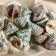 Set of shells Tektus Fenestratus, 100 g