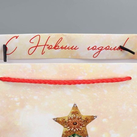 Package Gift New Year Laminated "Heat in the House", XL 40 x 49 x 19 cm, New Year-5