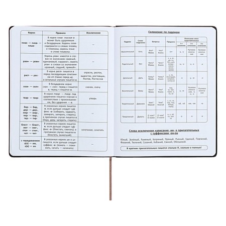 Universal diary for grades 1-11 "strip", solid cover of artificial leather, silkography, lies, 48 ​​sheets, chocolate+turquoise-10