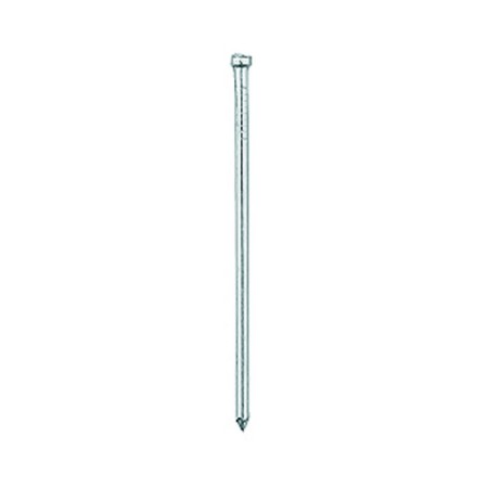 Great nails "bison master", 1.6 × 30 mm, galvanized, in a package of 5 kg