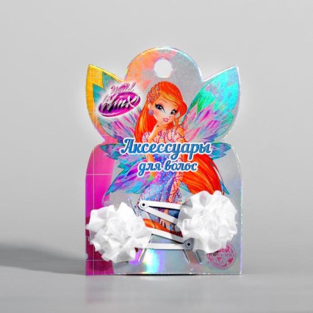 Hair hair clip, 2 pieces, Winx-4